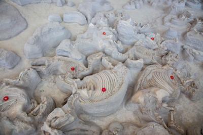 Nebraska's Ashfall Fossil Beds is a 'one-of-a-kind place'